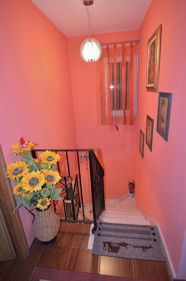 House Tihana Donje Selo na Šolti Extérieur photo